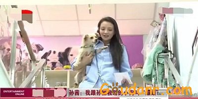 孕妇能否养狗？孙茜为其正名！