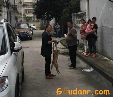 扬州女子将狗活活吊死，邻居劝阻却遭持刀威胁