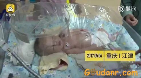 厉害了word狗！狗狗野地刨出一个月大活婴！